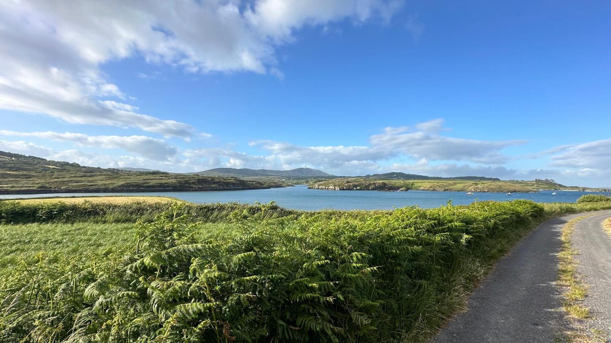 Seafront House With Own Private Pier In Gunpoint, Schull, West Cork Villa Seafort Ngoại thất bức ảnh