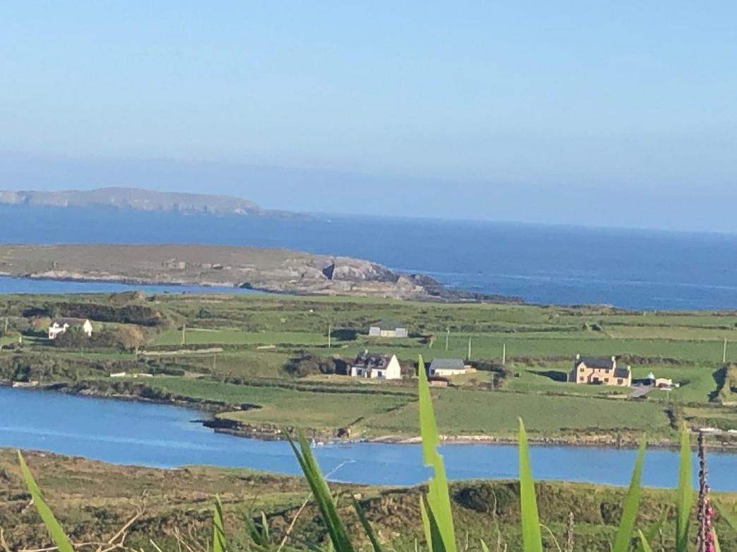 Seafront House With Own Private Pier In Gunpoint, Schull, West Cork Villa Seafort Ngoại thất bức ảnh